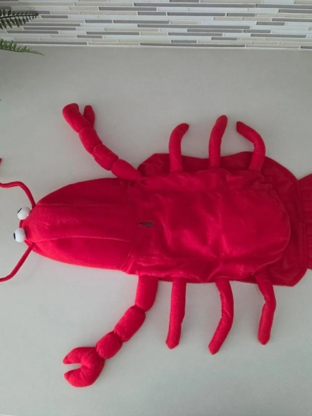 Casual Canine Lobster Paws Dog Costume Small Excellent Condition